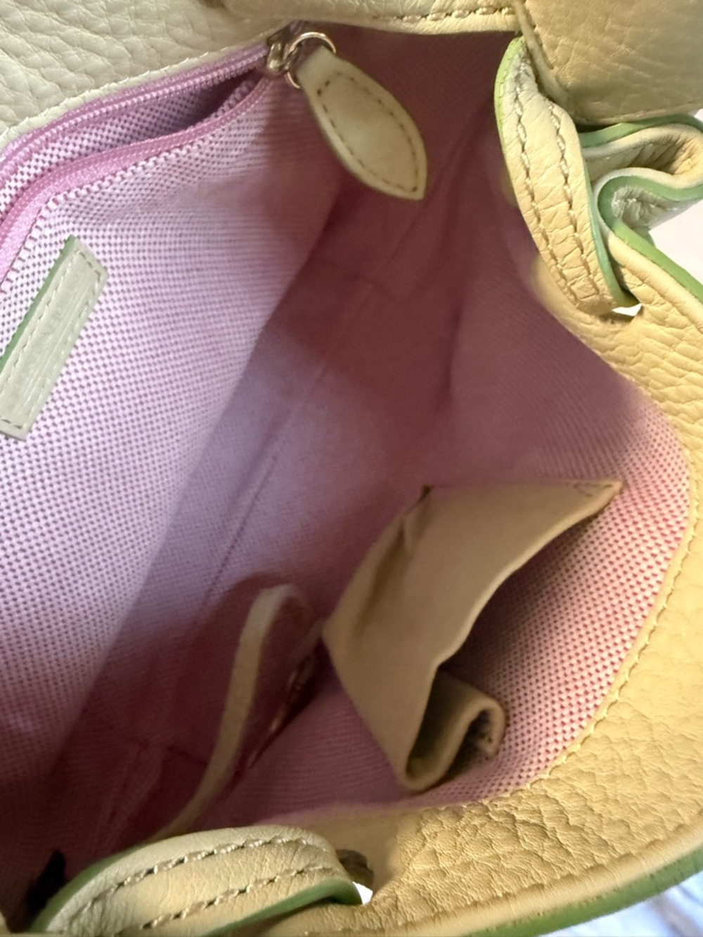 Dooney & Bourke Pale Green Pebbled Leather Shoulder Bag with Gold Hardware - Picture 5 of 5